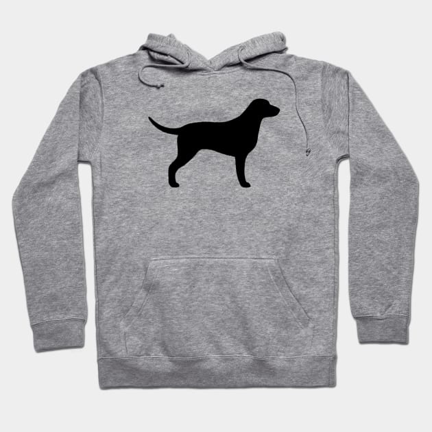 Curly Coated Retriever Silhouette Hoodie by Coffee Squirrel